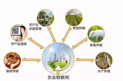 鄉(xiāng)村規(guī)劃設計丨中國農業(yè)十大戰(zhàn)略布局 風口、獨角獸與投資熱點深度解析